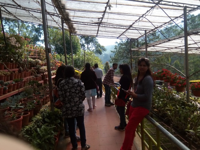 Botanical Tour to Munnar